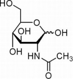 N-Acetyl Glucosamine (NAG): The Food-Grade Key to Unlocking Joint, Gut, and Skin Health