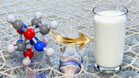 Targeted Joint Nutrition: Unlocking the Powerful Synergy of N-Acetyl Glucosamine and Milk