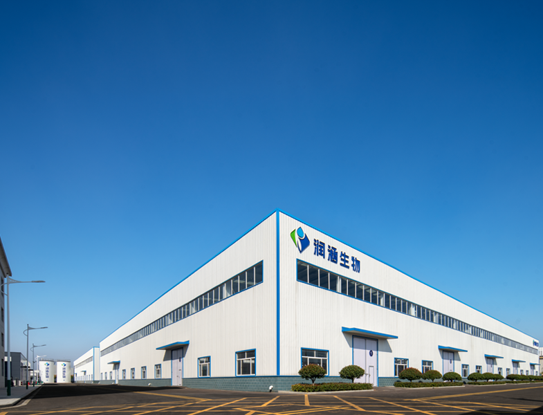 CORPORATE VISION